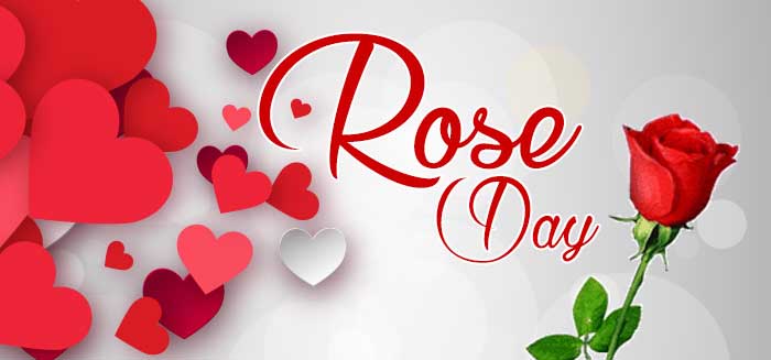 Best Top 100 Happy Rose Day Shayari Status, SMS and Quotes | रोज डे की शायरी 